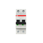 ABB Wyłącznik nadmiarowo-prądowy serii STANDARD 2-polowy C10A 6kA S202-C10  2CDS252001R0104