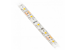 GTV Taśma Flash 3528, 300 LED ciepły  biały, 24W 4,8W/mb 8mm, rolka 5mb, 12V wodoodporna