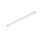 PHILIPS Oprawa wodoszczelna LEDINAIRE WT060C LED56S/840 PSU L=1500mm 5600lm Biała neutralna
