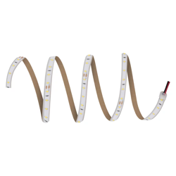 LEDVANCE Taśma LED LS Value 500/840/5/IP66